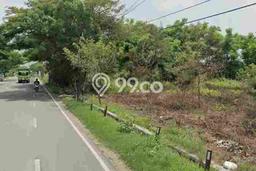 Tanah di Widang, Tuban Luas 43000m2 Dijual Segera Tanah di Widang, Tuban Luas 43000m2 Dijual Segera