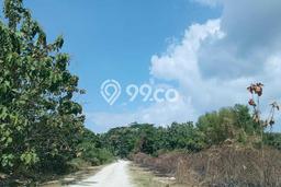 Tanah untuk Dijual Lokasi Lakarsantri, Surabaya Luas 29800m2 SHM Tanah untuk Dijual Lokasi Lakarsantri, Surabaya Luas 29800m2 SHM