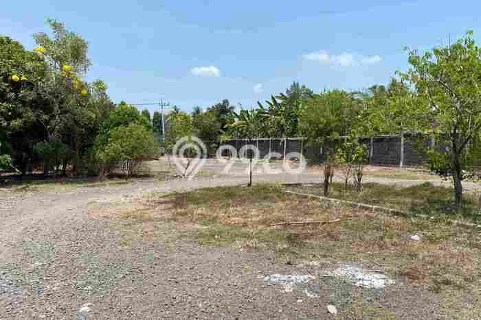 Tanah di Kebomas, Gresik Luas 30000m2 Dijual Segera Tanah di Kebomas, Gresik Luas 30000m2 Dijual Segera