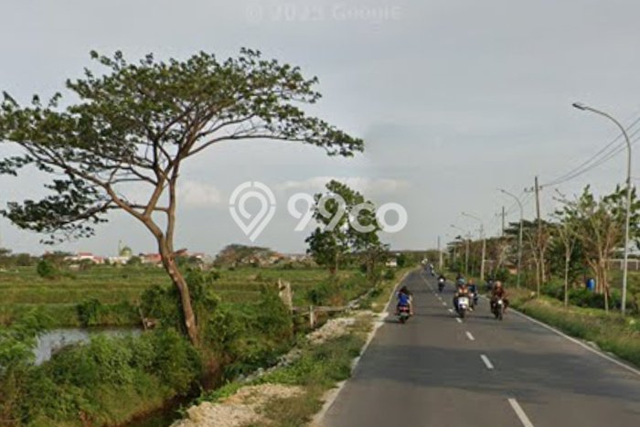 Tanah di Manyar, Gresik Luas 14479m2 Dijual Segera Tanah di Manyar, Gresik Luas 14479m2 Dijual Segera