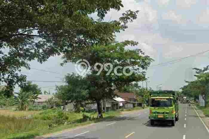 Kavling Tanah di Widang Dijual Luas 43000m2 Legalitas SHM Kavling Tanah di Widang Dijual Luas 43000m2 Legalitas SHM