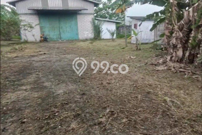 Gudang Usaha Dijual di Gunung Putri Bogor LT 1903m2 & LB 745m2 Gudang Usaha Dijual di Gunung Putri Bogor LT 1903m2 & LB 745m2