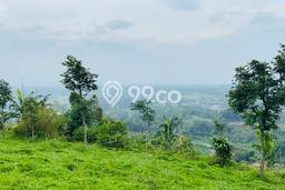 Tanah Kavling di Cijeruk Dijual dengan Luas 36849m2 Tanah Kavling di Cijeruk Dijual dengan Luas 36849m2