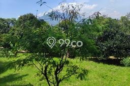 Tanah Kavling untuk Dijual di Megamendung Bogor 4770m2 Tanah Kavling untuk Dijual di Megamendung Bogor 4770m2