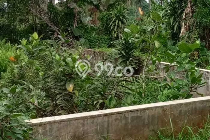 Untuk Dijual Tanah di Ciseeng Bogor Luas 44580m2 AJB Untuk Dijual Tanah di Ciseeng Bogor Luas 44580m2 AJB
