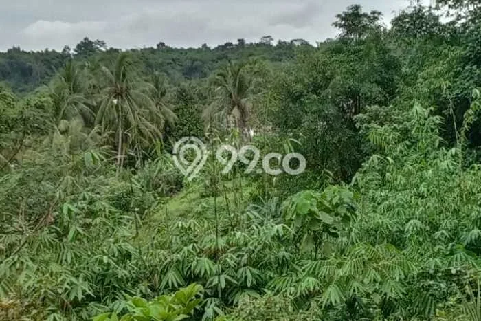 Untuk Dijual Tanah di Ciseeng Bogor Luas 44580m2 AJB Untuk Dijual Tanah di Ciseeng Bogor Luas 44580m2 AJB