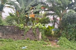 Tanah Dijual Lokasi Bogor Tengah, Bogor Luas 11160m2 Legalitas Aman Tanah Dijual Lokasi Bogor Tengah, Bogor Luas 11160m2 Legalitas Aman