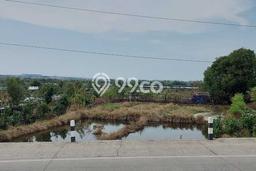Tanah Dijual Lokasi Kaliwungu, Kendal Luas 1425m2 Legalitas Aman Tanah Dijual Lokasi Kaliwungu, Kendal Luas 1425m2 Legalitas Aman
