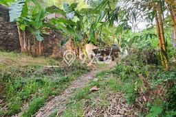 Tanah Strategis Dijual di Gajah Mungkur Semarang 498m2 Tanah Strategis Dijual di Gajah Mungkur Semarang 498m2