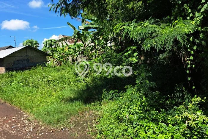 Untuk Dijual Tanah di Jenggawah Jember Luas 500m2 SHM Untuk Dijual Tanah di Jenggawah Jember Luas 500m2 SHM