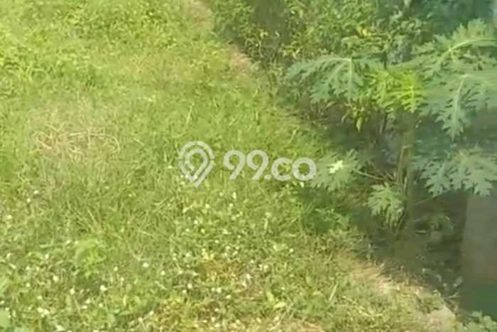 Tanah Kavling Dijual di Teluk Naga, Tangerang dengan Luas Tanah 230m2 Tanah Kavling Dijual di Teluk Naga, Tangerang dengan Luas Tanah 230m2
