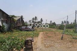 Lahan untuk Dijual Lokasi Kosambi, Tangerang Luas 6500m2 SHM Lahan untuk Dijual Lokasi Kosambi, Tangerang Luas 6500m2 SHM