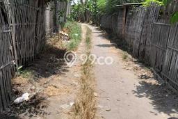 Jarang Ada! Tanah di Kosambi Punya Luas 12000m2 SHM Jarang Ada! Tanah di Kosambi Punya Luas 12000m2 SHM
