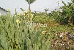 Tanah Siap Bangun Dijual di Tangerang Punya Luas 900m2 Tanah Siap Bangun Dijual di Tangerang Punya Luas 900m2