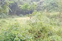 Tanah Kavling untuk Dijual di Cikande Serang 120000m2 Tanah Kavling untuk Dijual di Cikande Serang 120000m2