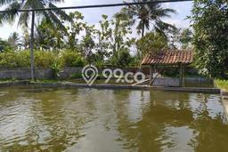 Tanah Kavling untuk Dijual di Serang Serang 3000m2 Tanah Kavling untuk Dijual di Serang Serang 3000m2