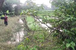 Kavling Tanah untuk Dijual di Teluk Naga, Tangerang, Luas 12000m2 Kavling Tanah untuk Dijual di Teluk Naga, Tangerang, Luas 12000m2
