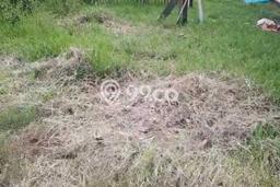 Kavling Tanah Dijual di Kosambi Tangerang Spesifikasi 150m2 Kavling Tanah Dijual di Kosambi Tangerang Spesifikasi 150m2