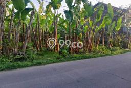 Tanah Kavling Dijual di Teluk Naga, Tangerang dengan Luas Tanah 420m2 Tanah Kavling Dijual di Teluk Naga, Tangerang dengan Luas Tanah 420m2