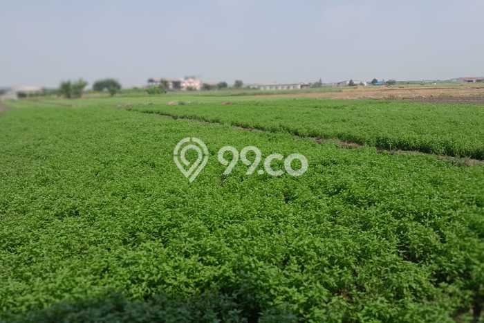 Tanah Kavling Dijual di Tangerang dengan Spesifikasi 5000m2 Tanah Kavling Dijual di Tangerang dengan Spesifikasi 5000m2