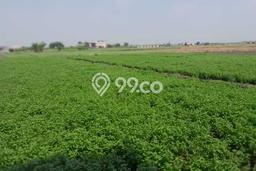 Tanah Kavling Dijual di Tangerang dengan Spesifikasi 5000m2 Tanah Kavling Dijual di Tangerang dengan Spesifikasi 5000m2