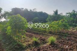 Tanah Dijual Lokasi Tigaraksa Tangerang SHM Tanah Dijual Lokasi Tigaraksa Tangerang SHM
