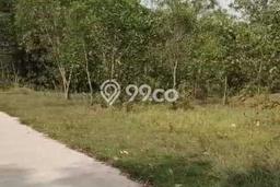 Kavling Tanah Dijual di Tigaraksa Tangerang Spesifikasi 73000m2 Kavling Tanah Dijual di Tigaraksa Tangerang Spesifikasi 73000m2