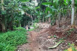 Tanah Dijual Lokasi Cikalongkulon, Cianjur dengan Luas Tanah 14000m2 dan Status - Tanah Dijual Lokasi Cikalongkulon, Cianjur dengan Luas Tanah 14000m2 dan Status -