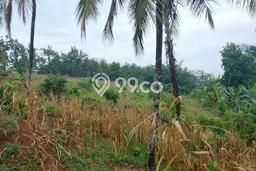 Dijual Tanah Lokasi Bandung Barat, Bandung Seluas 14974m2 Dijual Tanah Lokasi Bandung Barat, Bandung Seluas 14974m2