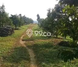 Tanah Dijual Lokasi Strategis di Sukabumi dengan Luas 1.3e+06m2 Tanah Dijual Lokasi Strategis di Sukabumi dengan Luas 1.3e+06m2