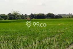 Tanah Dijual Lokasi Subang Subang SHM Tanah Dijual Lokasi Subang Subang SHM