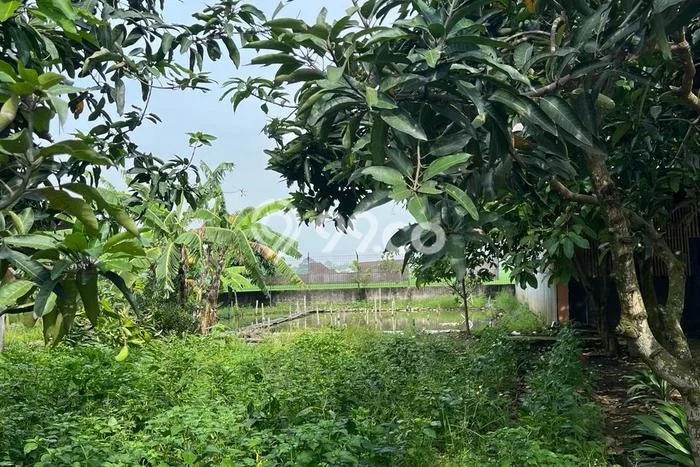 Kavling Tanah Dijual di Jababeka, Bekasi, Luas 1500m2 Area Strategis Kavling Tanah Dijual di Jababeka, Bekasi, Luas 1500m2 Area Strategis