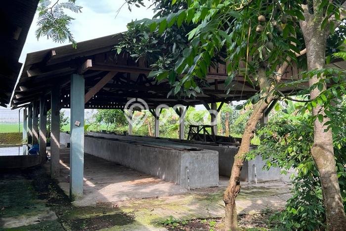 Kavling Tanah Dijual di Jababeka, Bekasi, Luas 1500m2 Area Strategis Kavling Tanah Dijual di Jababeka, Bekasi, Luas 1500m2 Area Strategis