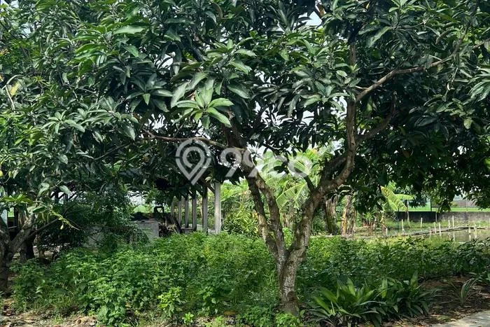 Kavling Tanah Dijual di Jababeka, Bekasi, Luas 1500m2 Area Strategis Kavling Tanah Dijual di Jababeka, Bekasi, Luas 1500m2 Area Strategis