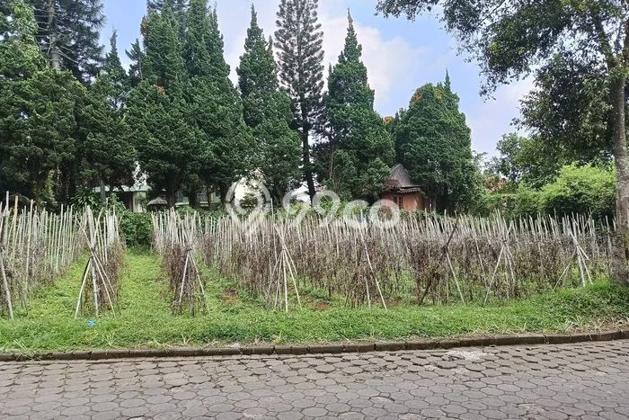 Tanah Kavling Dijual di Parongpong, Bandung Barat dengan Luas Tanah 500m2 Tanah Kavling Dijual di Parongpong, Bandung Barat dengan Luas Tanah 500m2