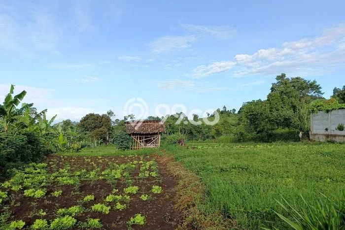 Dijual Tanah di Ngamprah Bandung Barat Luas 3171m2 SHM Dijual Tanah di Ngamprah Bandung Barat Luas 3171m2 SHM