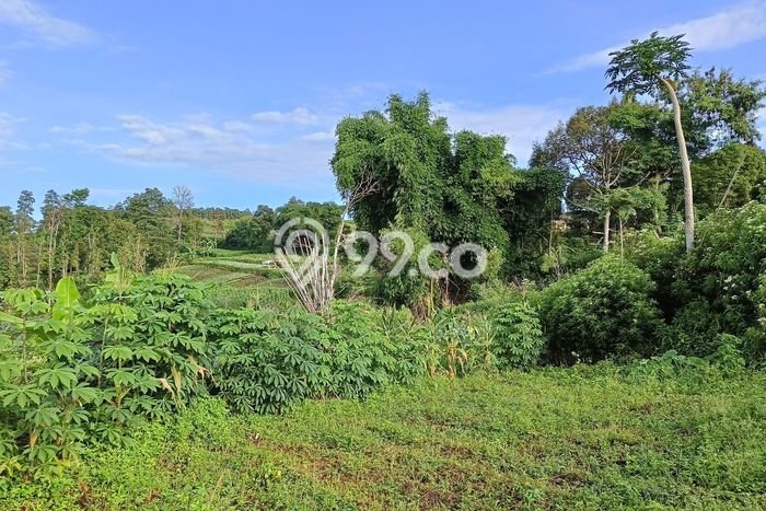 Tanah Kavling untuk Dijual di Ngamprah Bandung Barat 3450m2 Tanah Kavling untuk Dijual di Ngamprah Bandung Barat 3450m2
