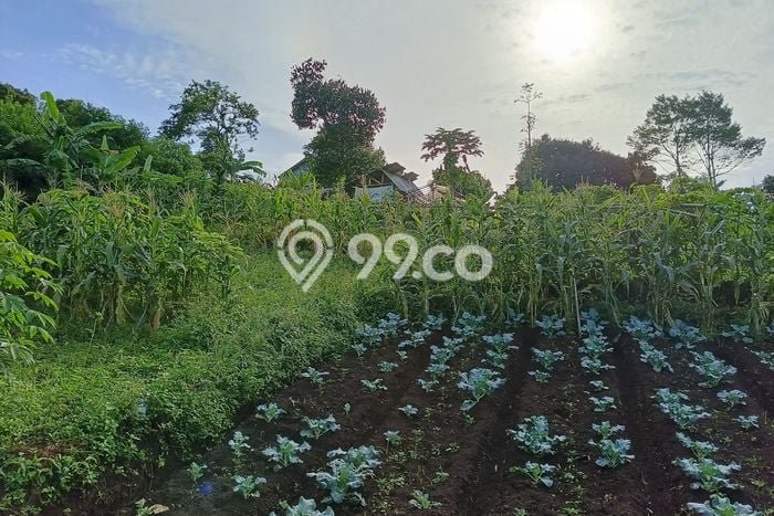 Tanah Kavling untuk Dijual di Ngamprah Bandung Barat 3450m2 Tanah Kavling untuk Dijual di Ngamprah Bandung Barat 3450m2