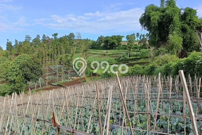 Tanah Kavling untuk Dijual di Ngamprah Bandung Barat 3450m2 Tanah Kavling untuk Dijual di Ngamprah Bandung Barat 3450m2