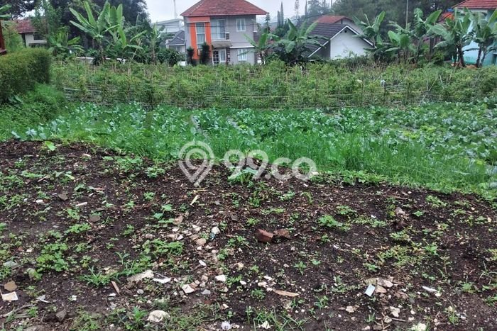 Tanah Area Prospektif di Parongpong, Luas 250m², Dekat ke Pusat Kota Tanah Area Prospektif di Parongpong, Luas 250m², Dekat ke Pusat Kota
