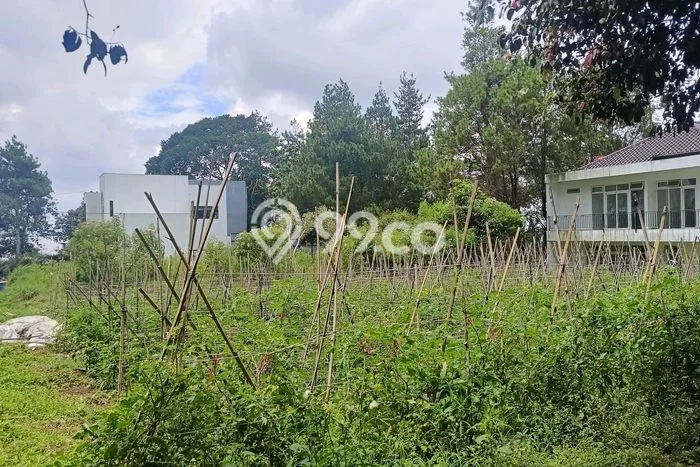 Tanah Dijual Lokasi Parongpong, Bandung Barat dengan Luas Tanah 1000m2 dan Status SHM Tanah Dijual Lokasi Parongpong, Bandung Barat dengan Luas Tanah 1000m2 dan Status SHM