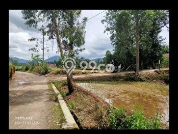 Untuk Dijual Tanah di Ciwidey Bandung Luas 13440m2 AJB Untuk Dijual Tanah di Ciwidey Bandung Luas 13440m2 AJB