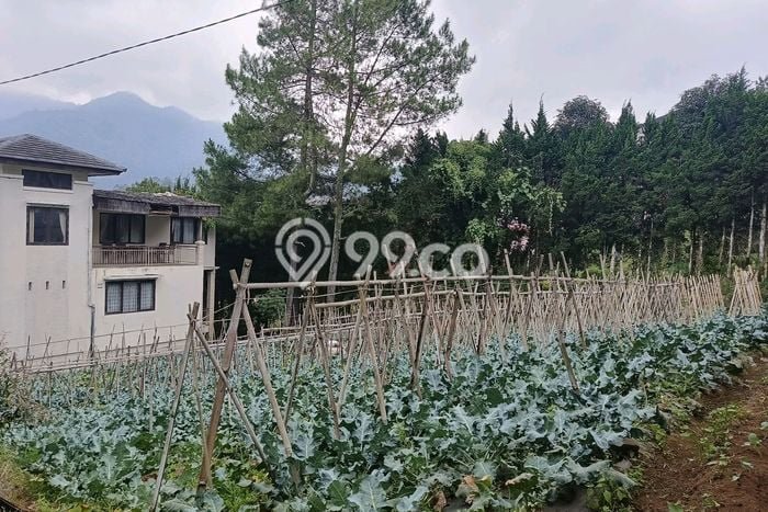 Tanah Kavling untuk Dijual di Parongpong Bandung Barat 300m2 Tanah Kavling untuk Dijual di Parongpong Bandung Barat 300m2