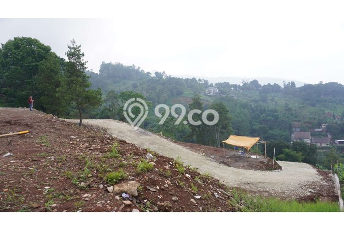 Tanah Kavling Dijual di Dago Pakar, Bandung dengan Luas Tanah 3500m2 Tanah Kavling Dijual di Dago Pakar, Bandung dengan Luas Tanah 3500m2