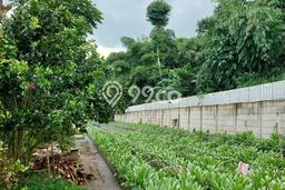 Tanah Kavling Dijual di Bandung dengan Spesifikasi 5600m2 Tanah Kavling Dijual di Bandung dengan Spesifikasi 5600m2