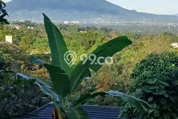 Lahan Dijual Lokasi Strategis di Bogor dengan Luas 1327m2 Lahan Dijual Lokasi Strategis di Bogor dengan Luas 1327m2
