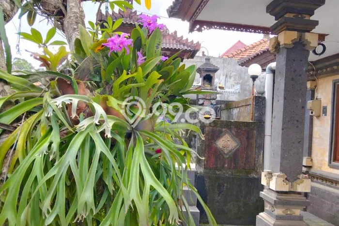 Sewa Rumah Murah di Nusa Dua Badung dengan 5 Kamar Tidur Sewa Rumah Murah di Nusa Dua Badung dengan 5 Kamar Tidur