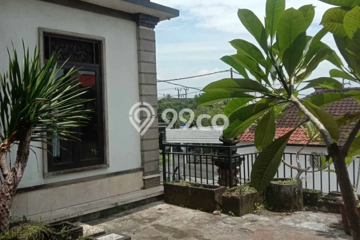 Disewakan Rumah Murah di Canggu Badung Punya 6 KT Disewakan Rumah Murah di Canggu Badung Punya 6 KT