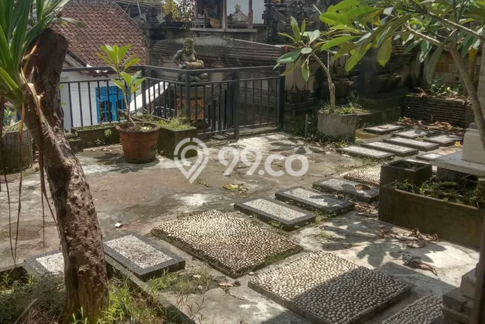 Disewakan Rumah Murah di Canggu Badung Punya 6 KT Disewakan Rumah Murah di Canggu Badung Punya 6 KT