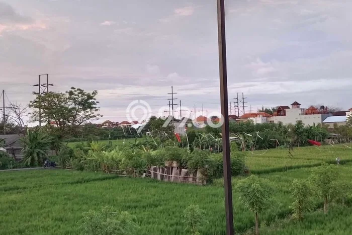 Disewakan Rumah Konsep Minimalis di Denpasar Selatan Denpasar dengan 2 Kamar Disewakan Rumah Konsep Minimalis di Denpasar Selatan Denpasar dengan 2 Kamar